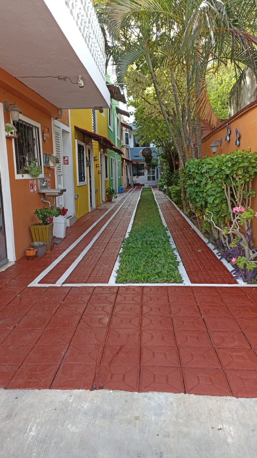 Departamento Las Arecas